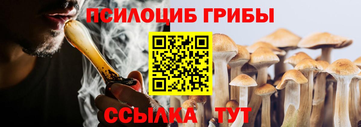 Галлюциногенные грибы мухоморы  Вход с VPN  Кашира 